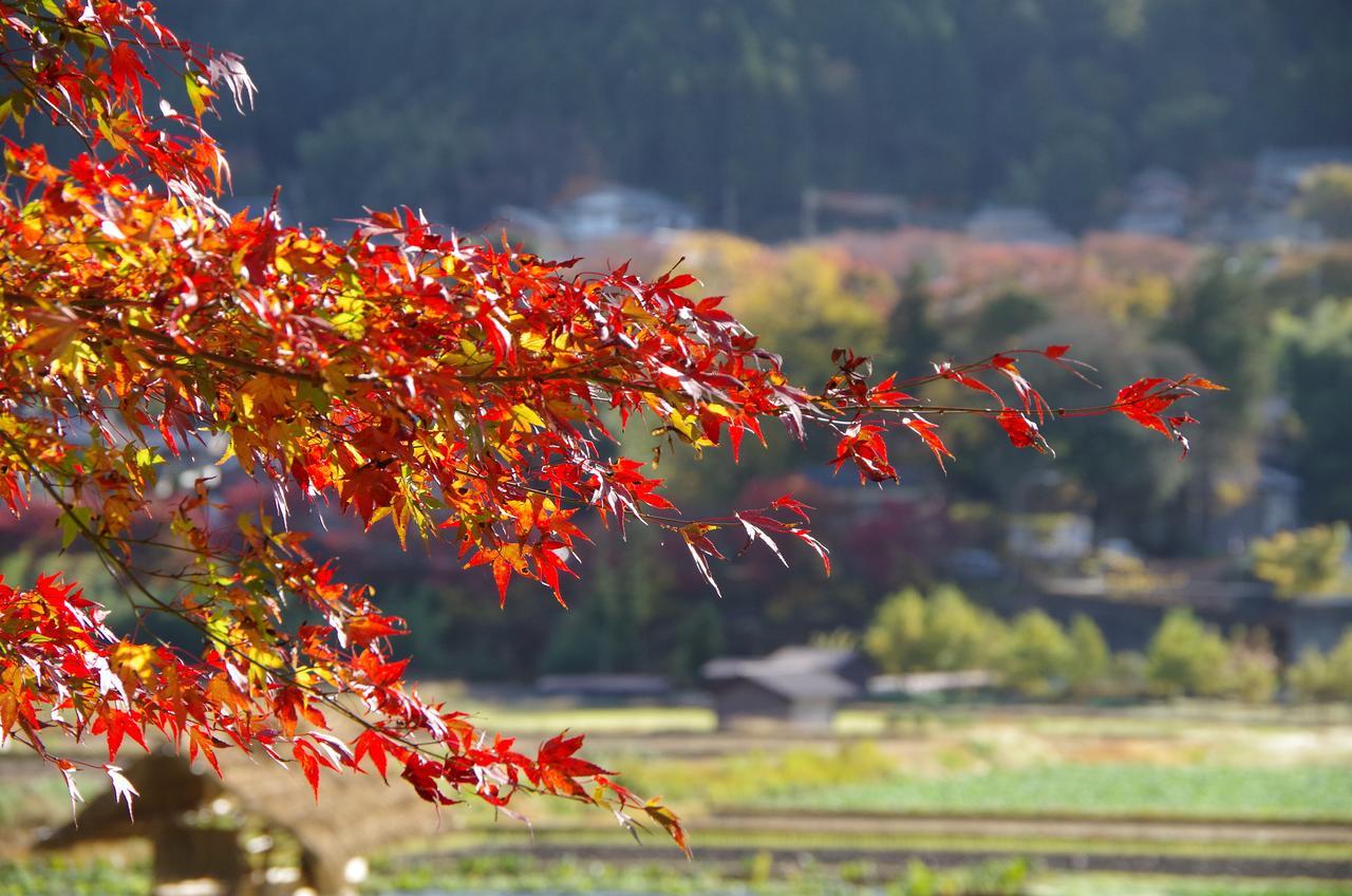 Ryoso Chatani